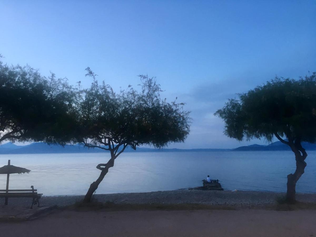 Eratous Seaside House Daire Varnavas Dış mekan fotoğraf