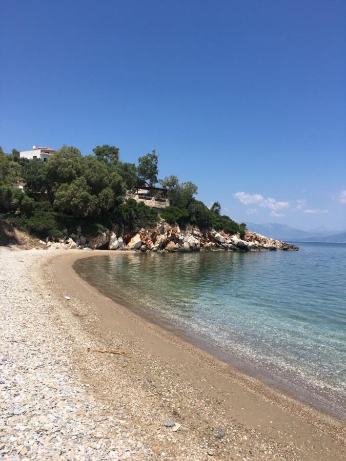Eratous Seaside House Daire Varnavas Dış mekan fotoğraf