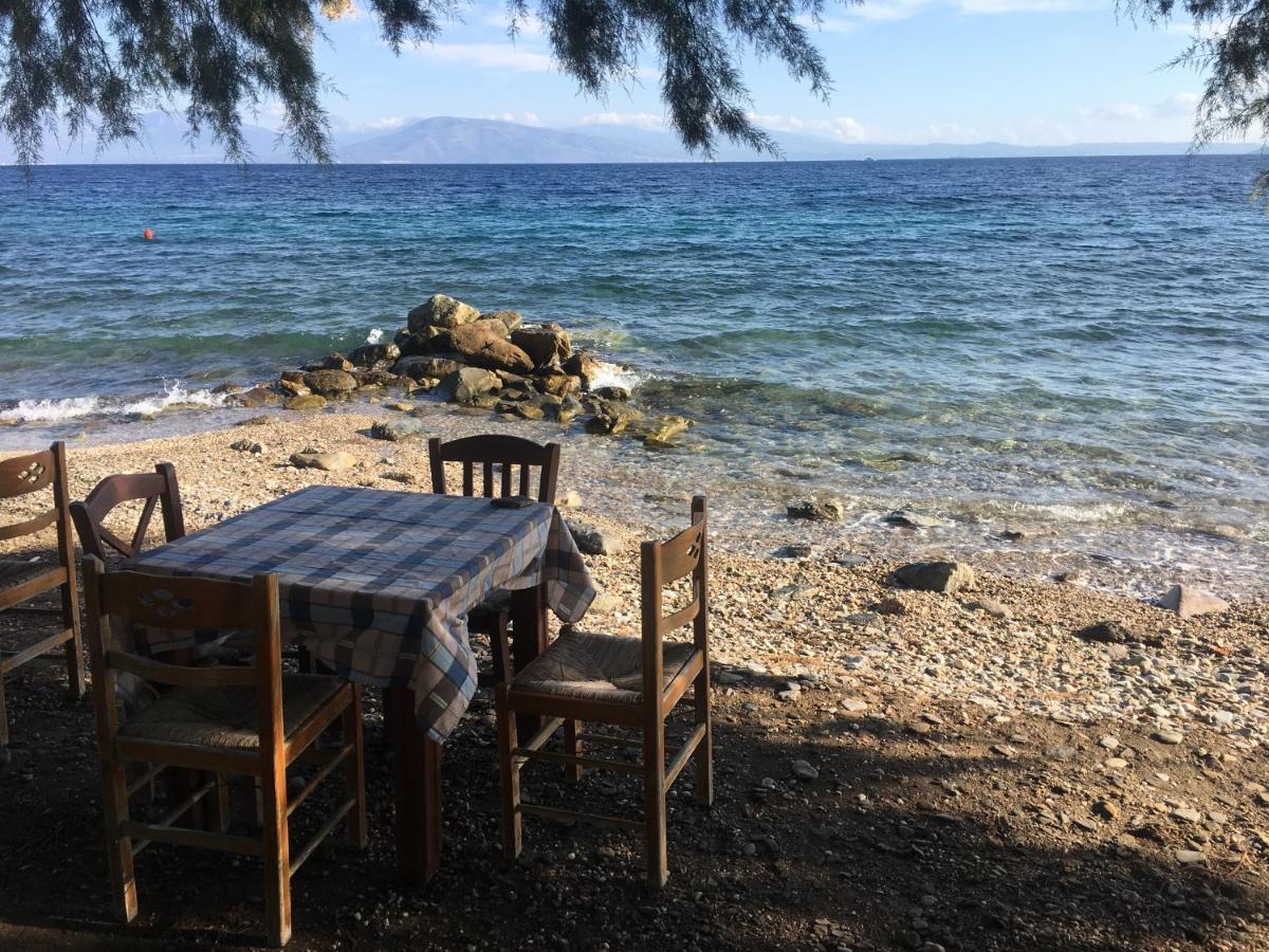 Eratous Seaside House Daire Varnavas Dış mekan fotoğraf