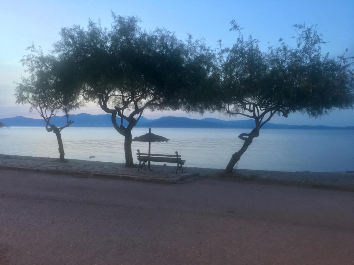 Eratous Seaside House Daire Varnavas Dış mekan fotoğraf