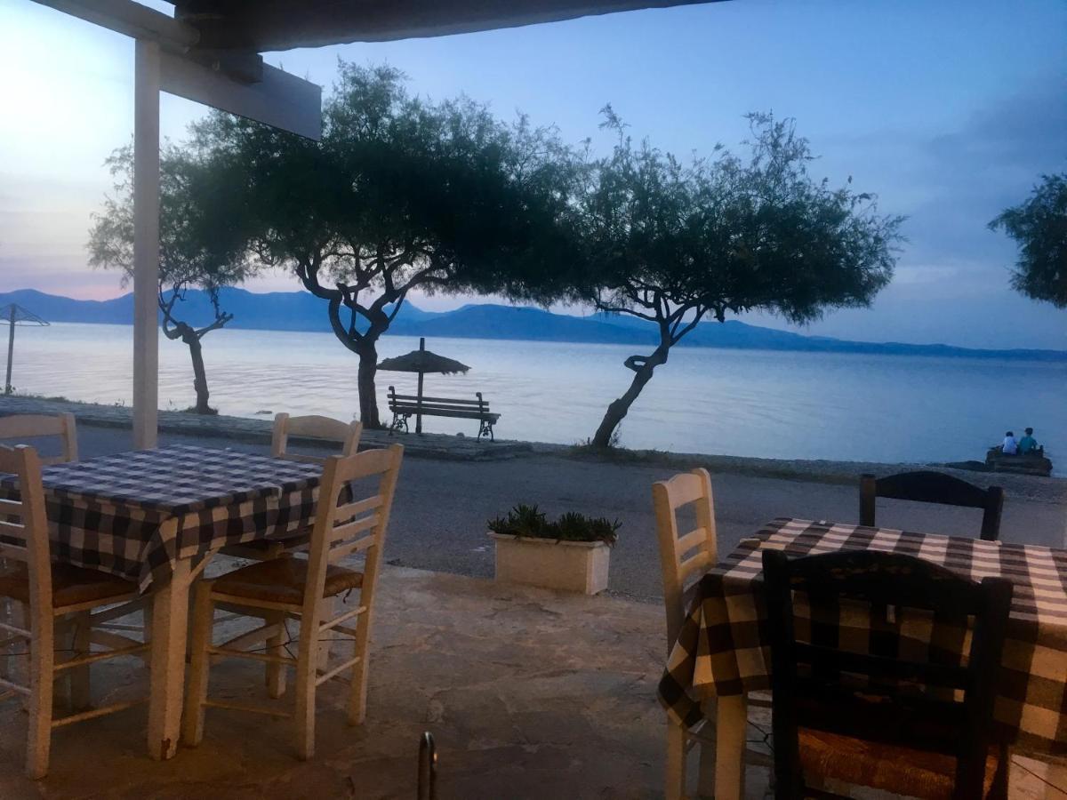 Eratous Seaside House Daire Varnavas Dış mekan fotoğraf